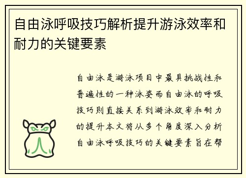 自由泳呼吸技巧解析提升游泳效率和耐力的关键要素